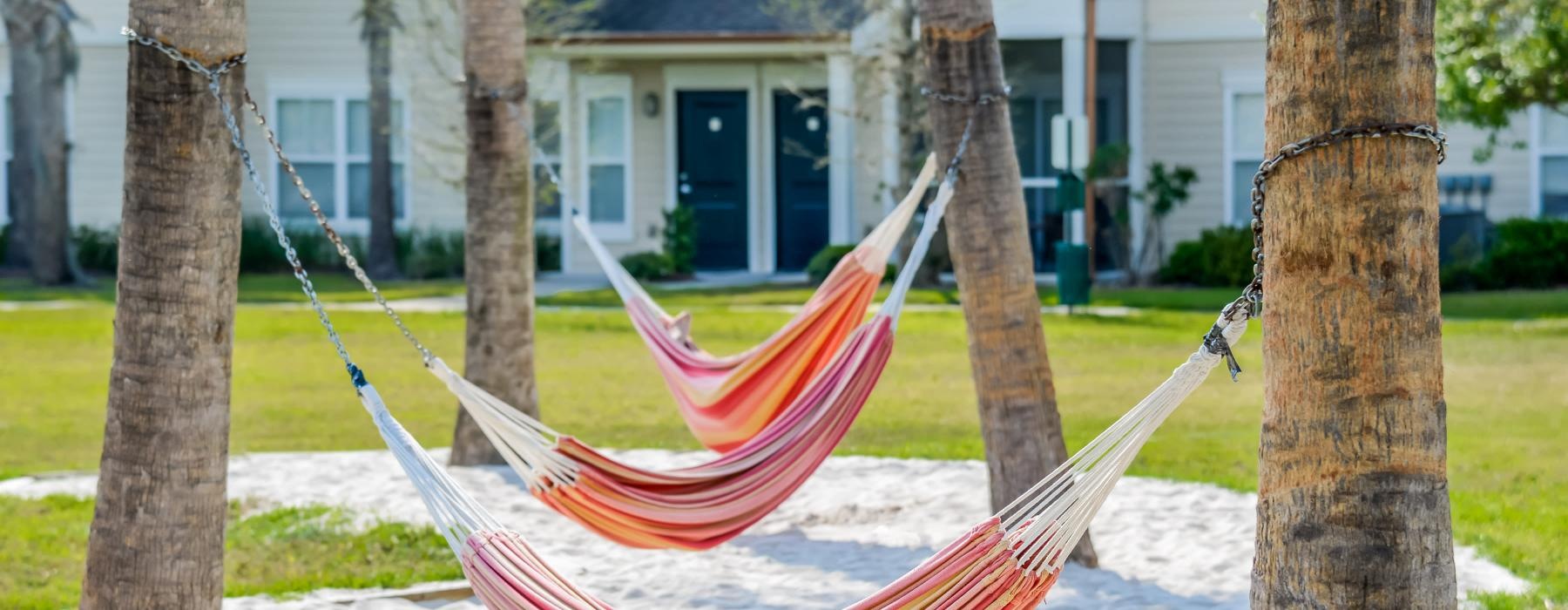a hammock between trees