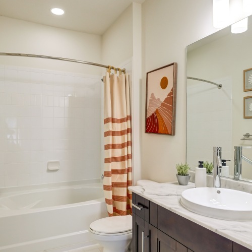 Bathroom options with thoughtful details